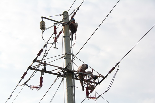國網(wǎng)霞浦供電公司加裝線路避雷器，保障兩節(jié)期間電網(wǎng)可靠性