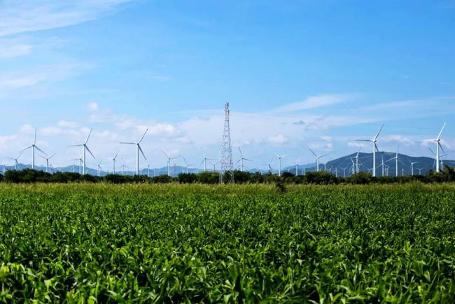 收購墨西哥818MW光伏電站，國家電投境外光伏電站裝機(jī)超6GW
