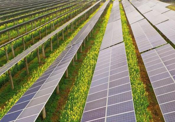 廣東清遠建設小型農光互補光伏發(fā)電站，工程總投資1.5億元