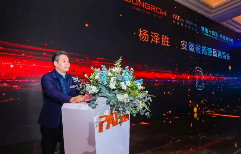 安徽能源局副局長(zhǎng)：大力發(fā)展可再生能源，為實(shí)現(xiàn)低碳目標(biāo)貢獻(xiàn)力量
