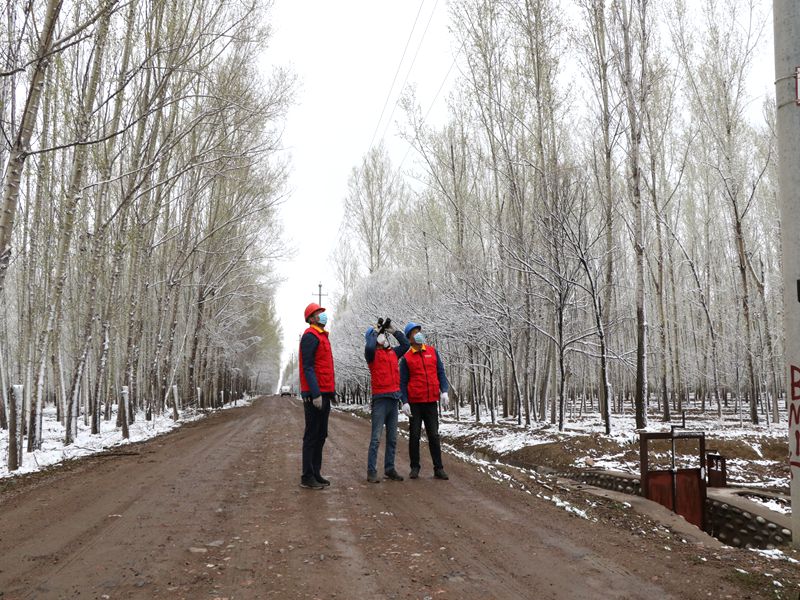 國(guó)網(wǎng)伊犁伊河供電公司四月飛雪，電力員工巡視線路保供電