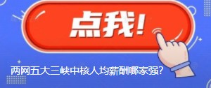 國(guó)網(wǎng)南網(wǎng)華能大唐國(guó)家能源三峽中核人均薪酬哪家強(qiáng)？