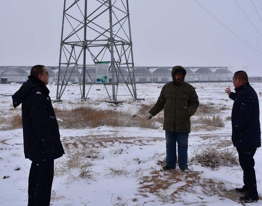 二連浩特供電公司：開展客戶側(cè)安全檢查，確?？诎犊蛻粝楹兔髁吝^春節(jié)