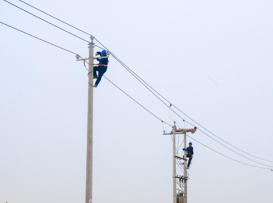 阿拉善供電公司：電網(wǎng)健康“體檢”，從登桿開始