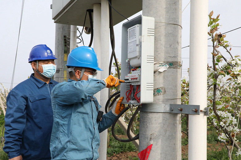 國(guó)網(wǎng)諸城市供電公司電力足，千畝梨園花正濃