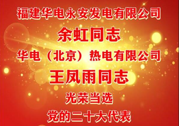 中國(guó)華電余虹、王鳳雨同志當(dāng)選黨的二十大代表