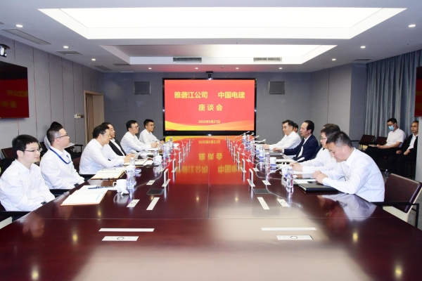 丁焰章與雅礱江公司黨委書記、董事長祁寧春座談
