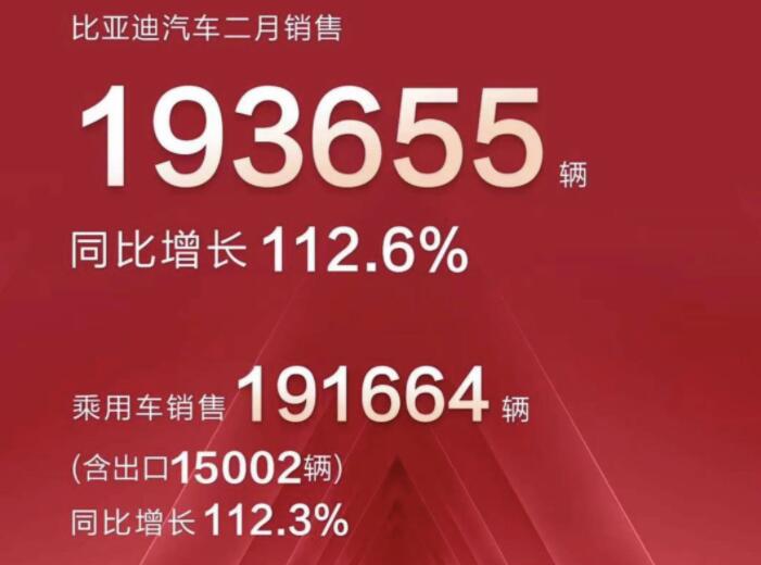 2月新能源車企成績(jī)單出爐，比亞迪一騎絕塵