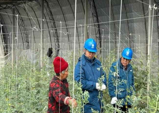 山東惠民供電公司：走訪種植大棚，優(yōu)化農(nóng)業(yè)營商環(huán)境