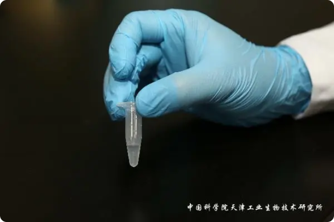 二氧化碳“變身”糖，中國科學(xué)家實(shí)現(xiàn)重大突破!