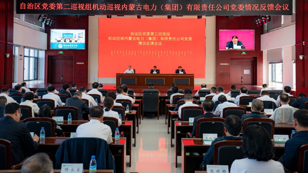 自治區(qū)黨委第二巡視組向內蒙古電力(集團)有限責任公司黨委反饋巡視情況