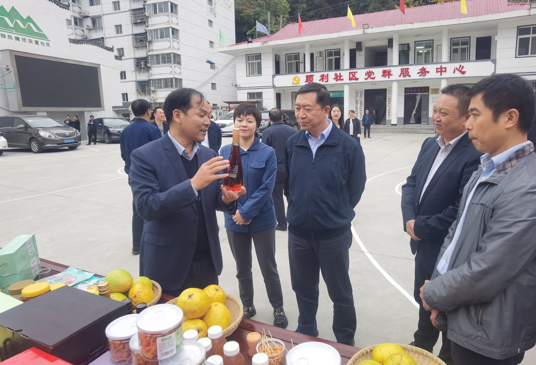 中核集團總經(jīng)理、黨組副書記顧軍赴陜西白河、旬陽調(diào)研鄉(xiāng)村振興工作