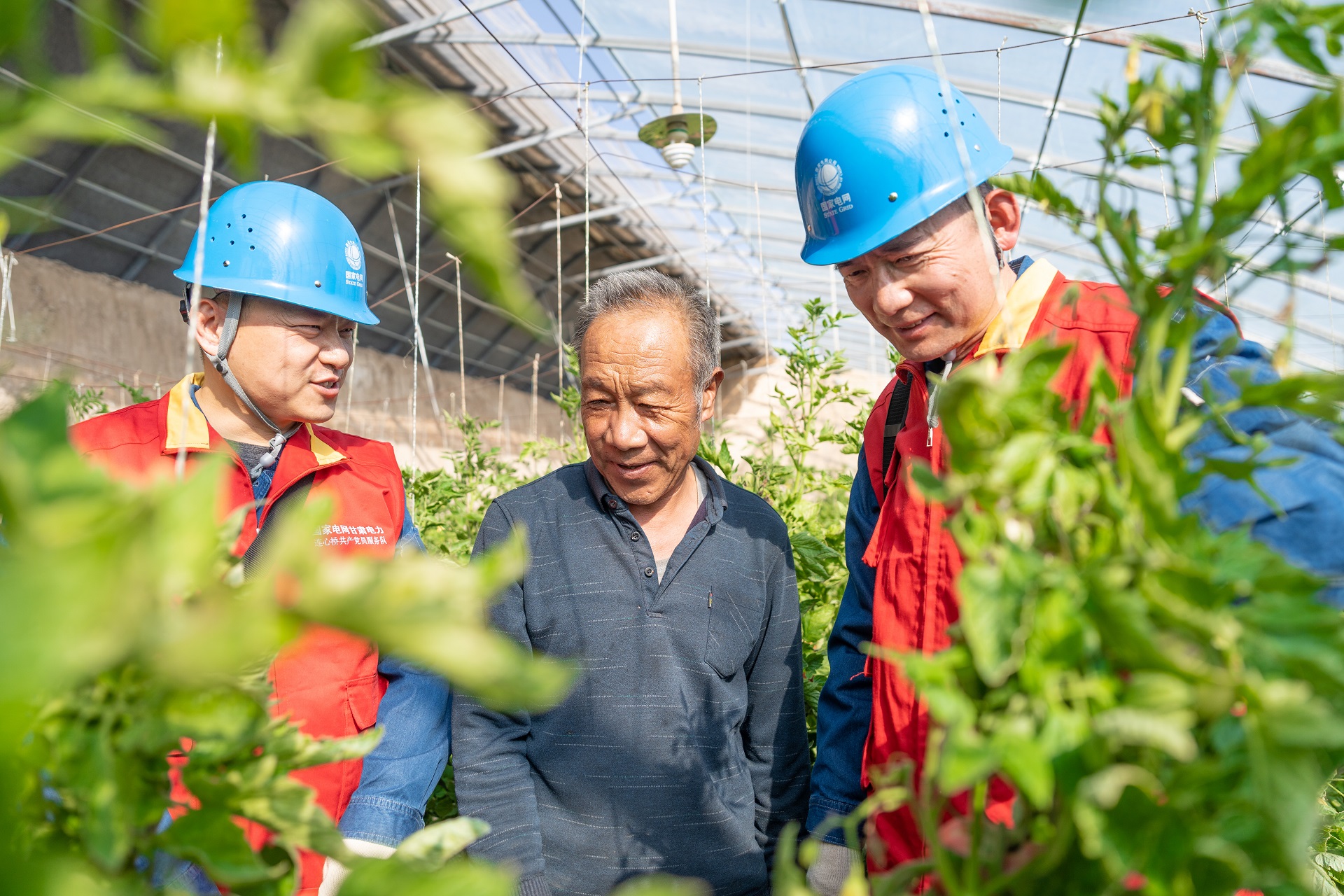 國網(wǎng)榆中縣供電公司：黨建賦能強保障 農業(yè)生產(chǎn)電力足